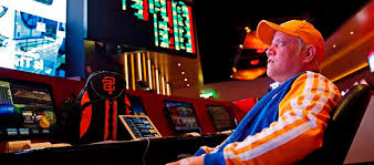 Vulkan 24 Casino